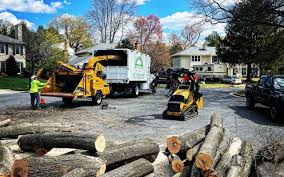 Best Lawn Grading and Leveling  in Black Diamond, FL
